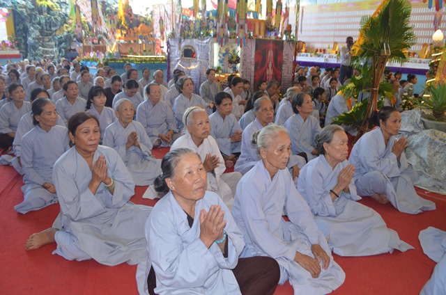 69282223 8D2D 433C 820C 7BB8A7C78A80