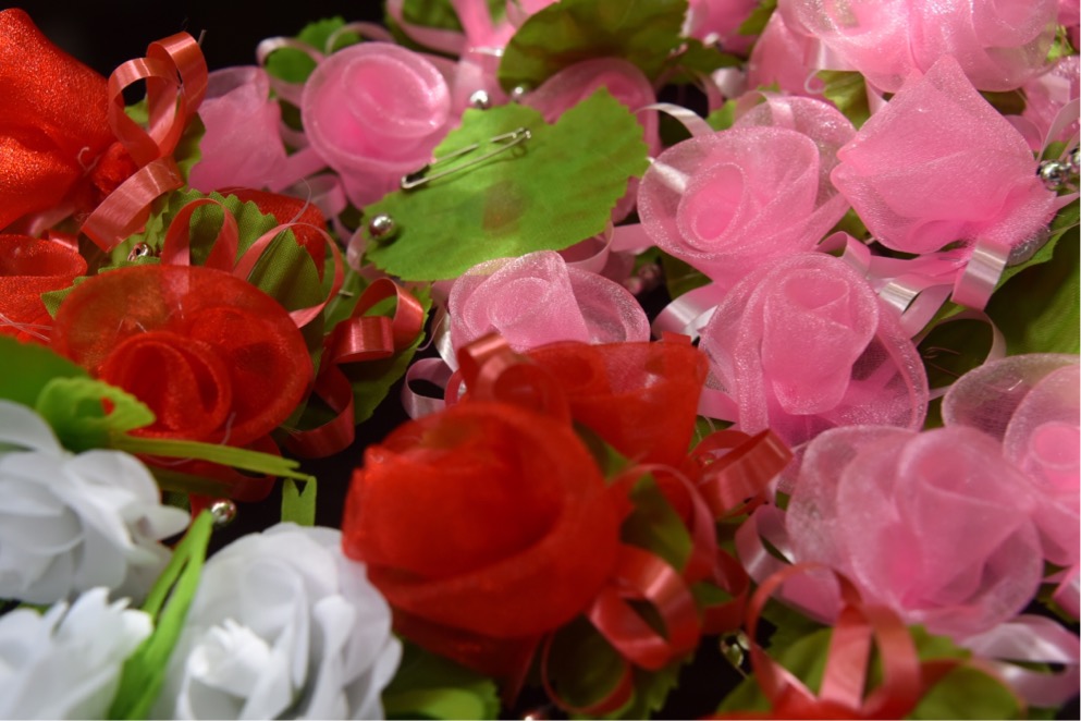 E8D271DE 8425 4D70 B26C 6BA7CC6BCFDE