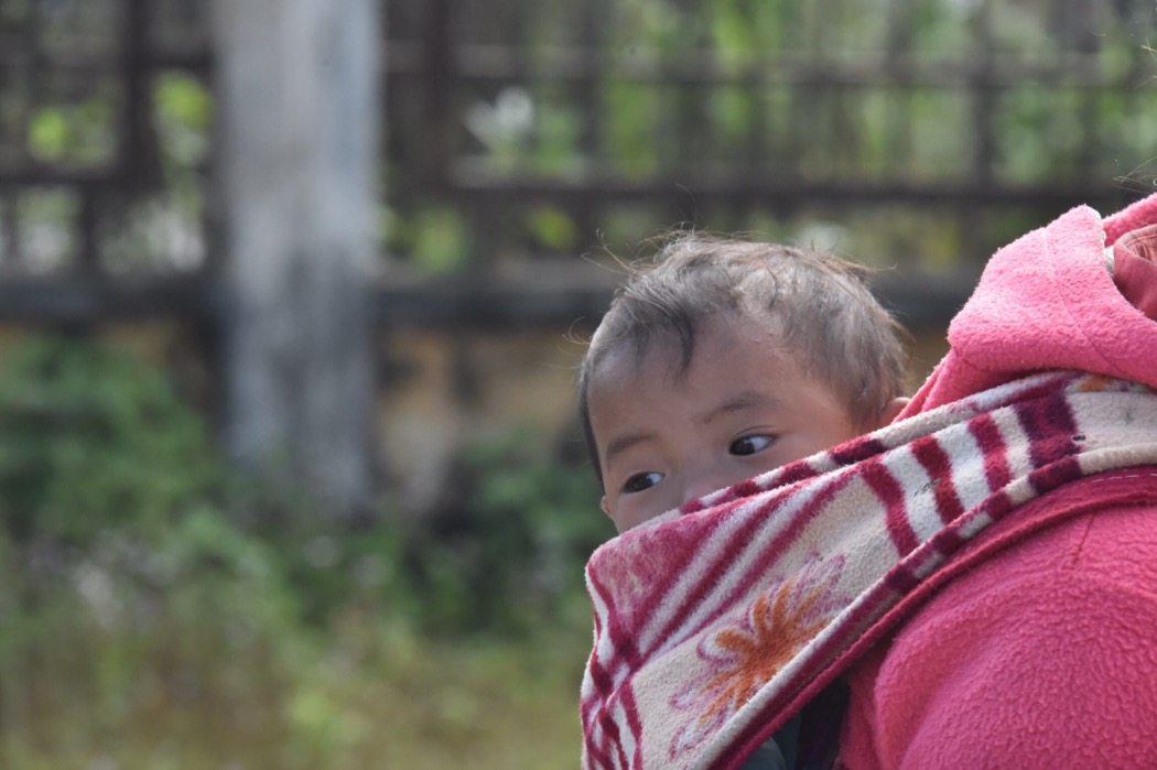 72F9353F 98B7 451B 939F 6EF0EF518B4E