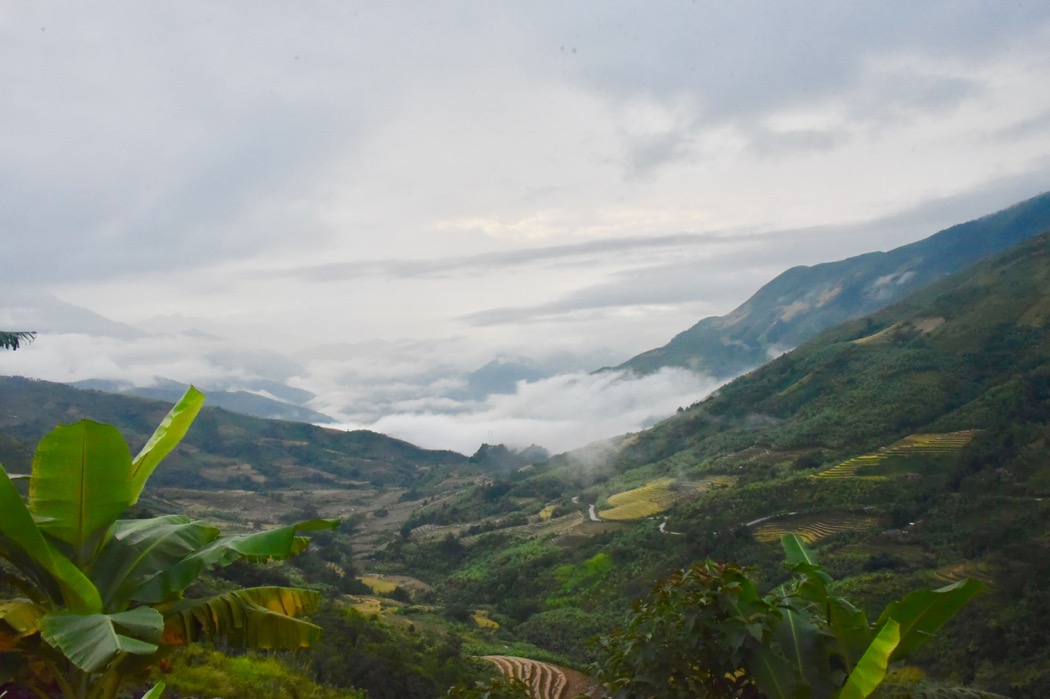 3BF6A11E 7EEB 4C6D A6BC 10A59A79AA78