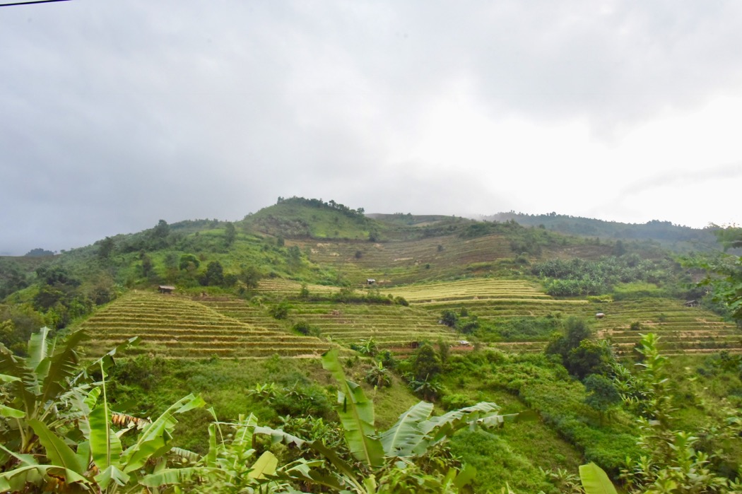 61C3A6B8 EFE2 49AF AD7E ADC48BE7E2FE