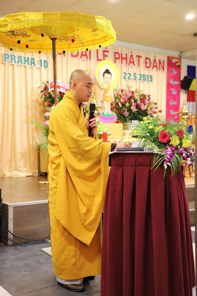 229E14FB 3E6F 4AA3 841F 48D81D9EFA8F