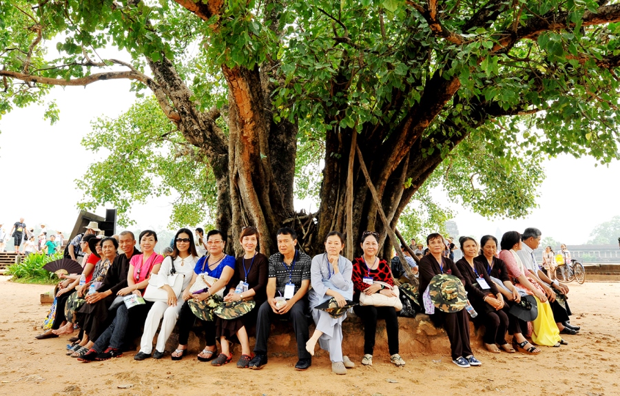 Dưới cội bồ đề trước Awngkor Wat