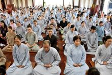 Pháp thoại “Thấy biết như thật” trong khóa tu Sống Tỉnh Thức lần thứ 39