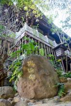 Xuân nơi thất Vô Sự
