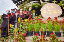 Tản Mạn Câu Chuyện Ngày Xuân