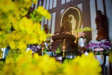 Xuân đã về …