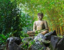 Tìm Phật Trong Con