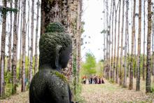 NĂM CŨ QUA RỒI – TÂM THÁI MỚI 