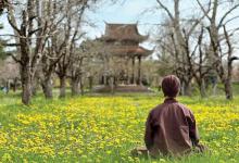 Xuân về tĩnh tâm, lặng lẽ thoát khổ