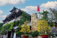 [HÌNH ẢNH] Hương sắc Xuân Ất Tỵ - 2025 tại Tu viện Khánh An
