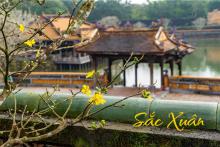 Sắc Xuân 