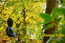 HƯƠNG XUÂN CÒN ĐƯỢM