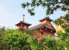 MÁI CHÙA – NGUỒN SỐNG CỦA DÂN TỘC