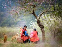 Mùa Xuân Của Mẹ
