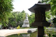 CHO LÒNG LÊN CAO