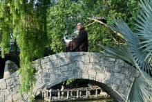 Tiếng vọng vô thanh