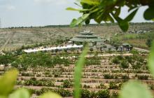 Như bông hoa kia
