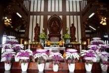 ĐỜI NGƯỜI – ĐỜI HOA