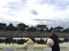 VIỄN MỘNG 