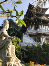 Đá trắng, cỏ xanh và Thầy! 