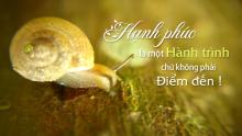Hạnh Phúc Không Xa Vời