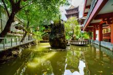 Nụ cười Hiểu - Thương