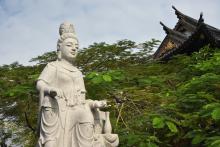 Ước mơ của em