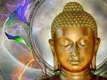 Phân Biệt Giữa Ước Muốn Và Ái Dục 
