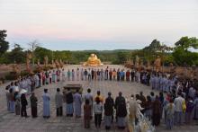 Những Sắc Hoa Thiền Định