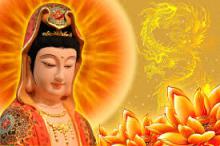 Mắt Thương Nhìn Cuộc Đời  (Từ nhãn thị chúng sinh)